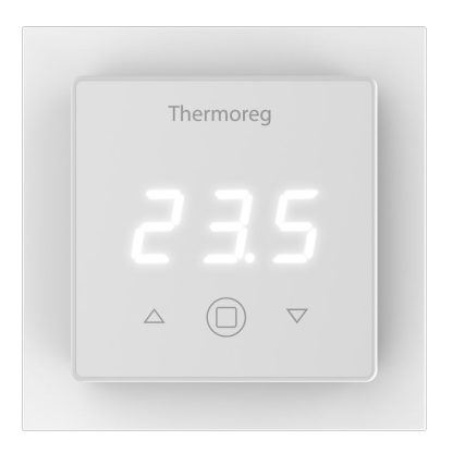 Терморегулятор Thermoreg TI-300